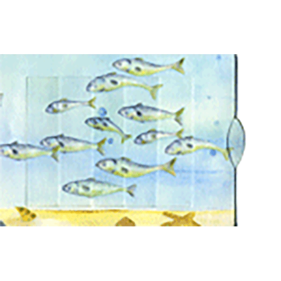 Fischdose Lebende Karte